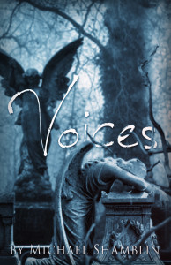 V2 Voices Program